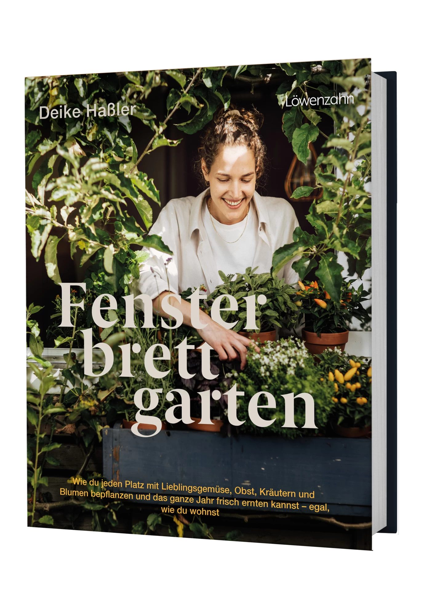 Fensterbrettgarten – Bild 2