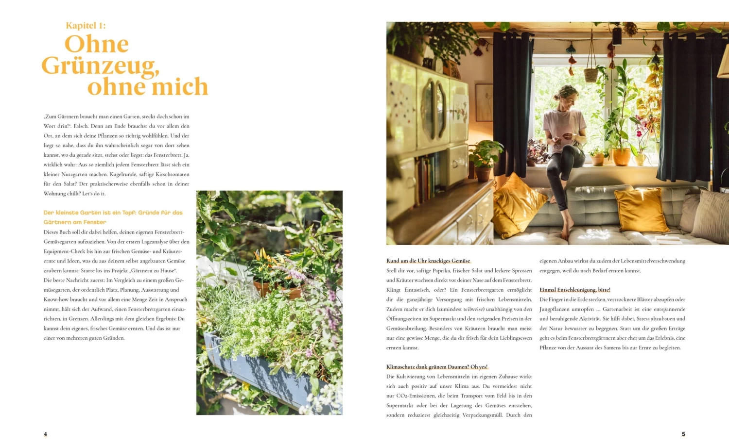 Fensterbrettgarten – Bild 3