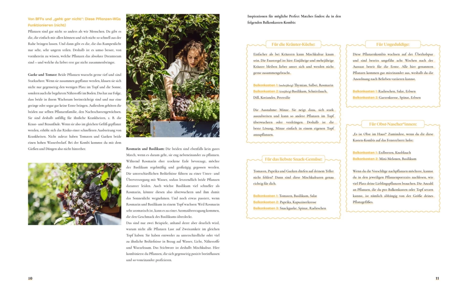 Fensterbrettgarten – Bild 8