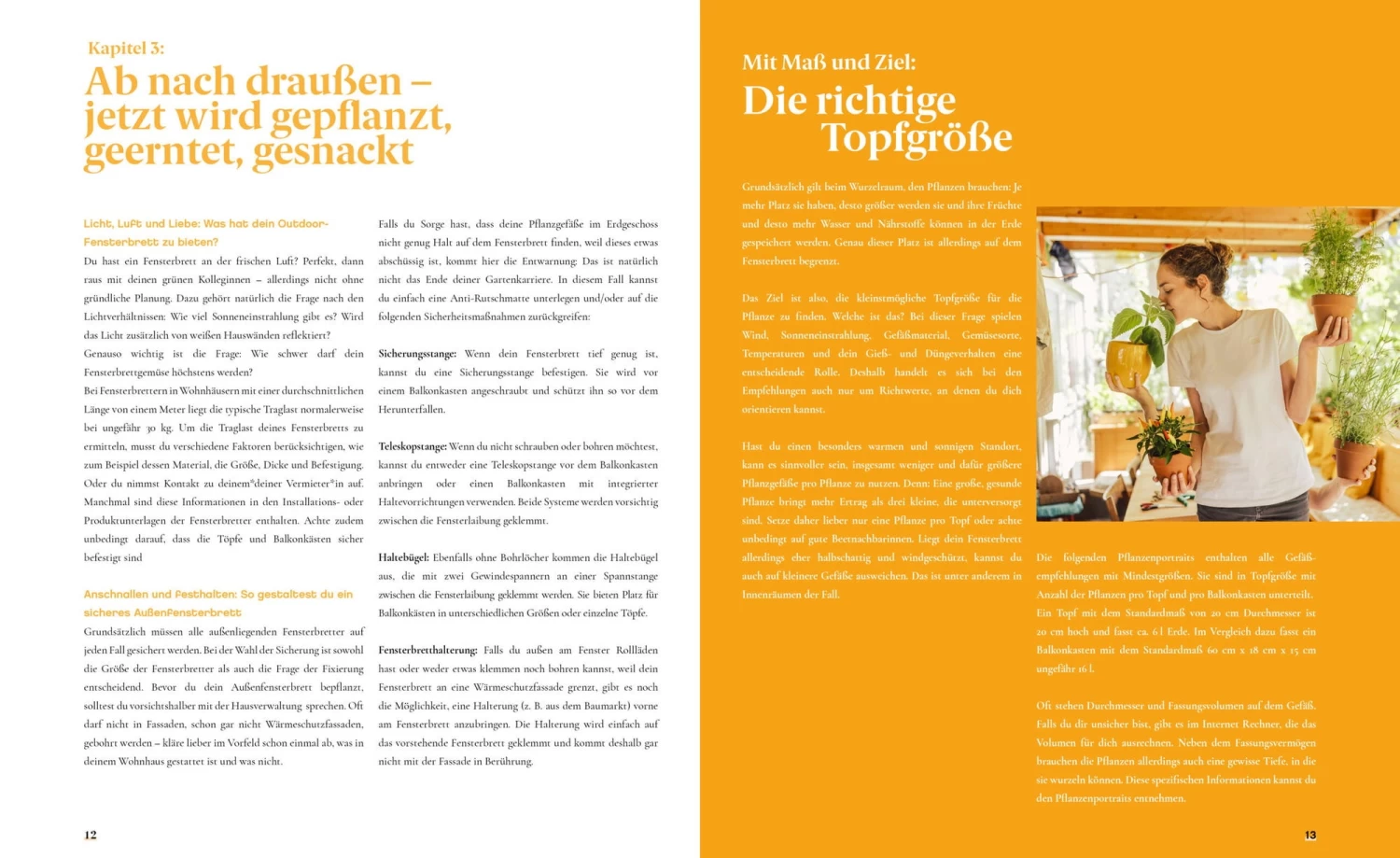 Fensterbrettgarten – Bild 5