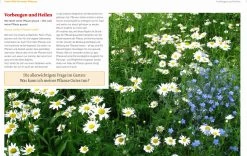 Handbuch Pflanzenschutz Im Biogarten