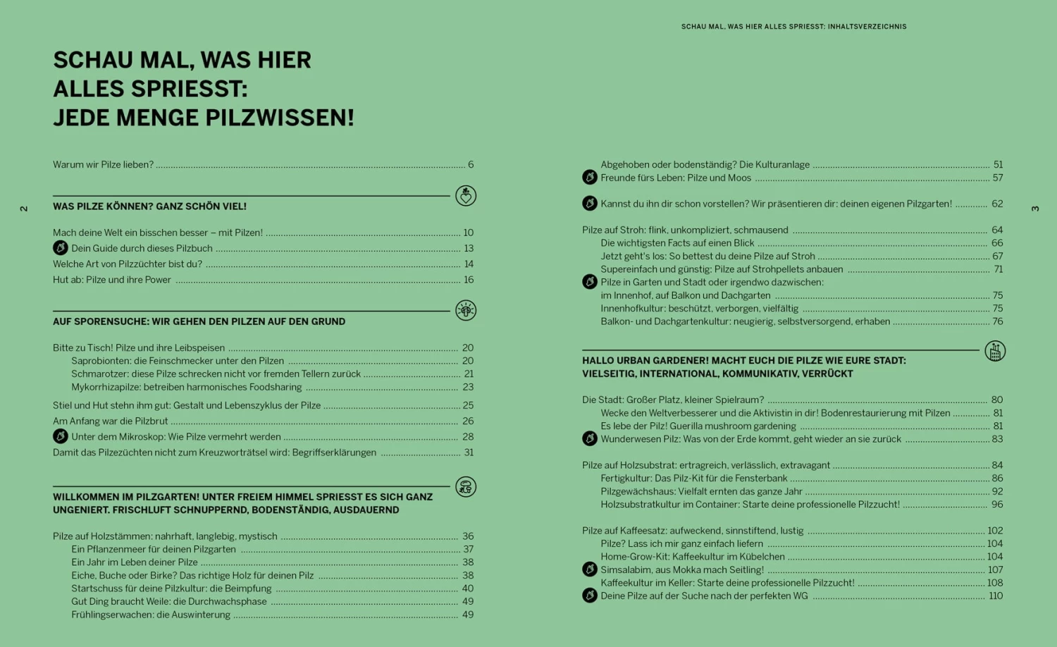 Pilzgeflüster – Bild 11