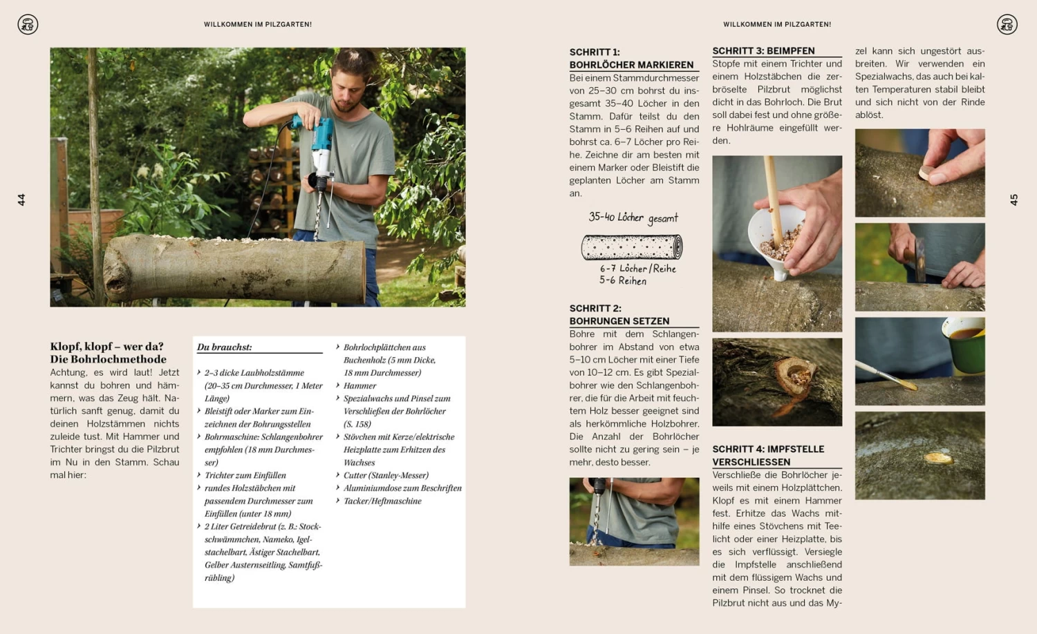 Pilzgeflüster – Bild 9