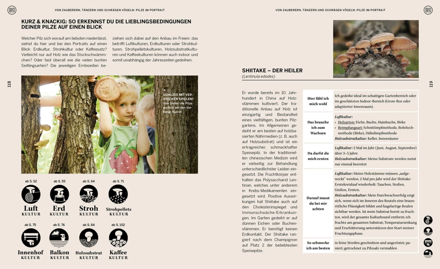 Pilzgeflüster – Bild 4