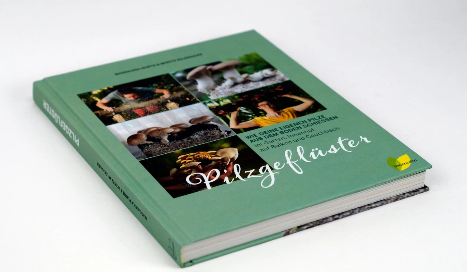 Pilzgeflüster – Bild 5