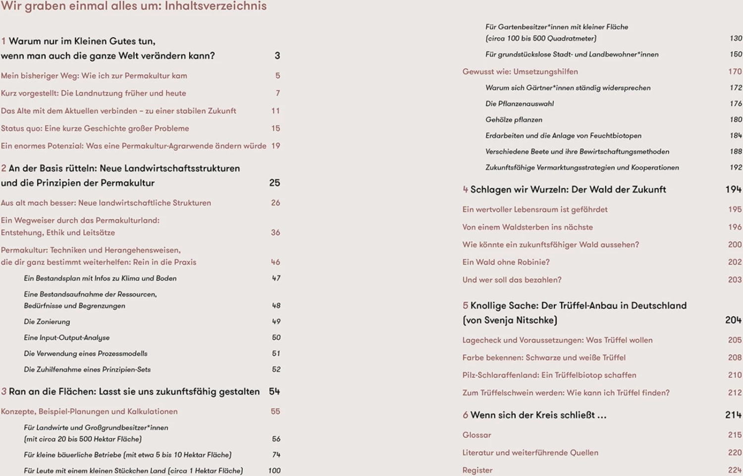 Pilzgeflüster – Bild 14