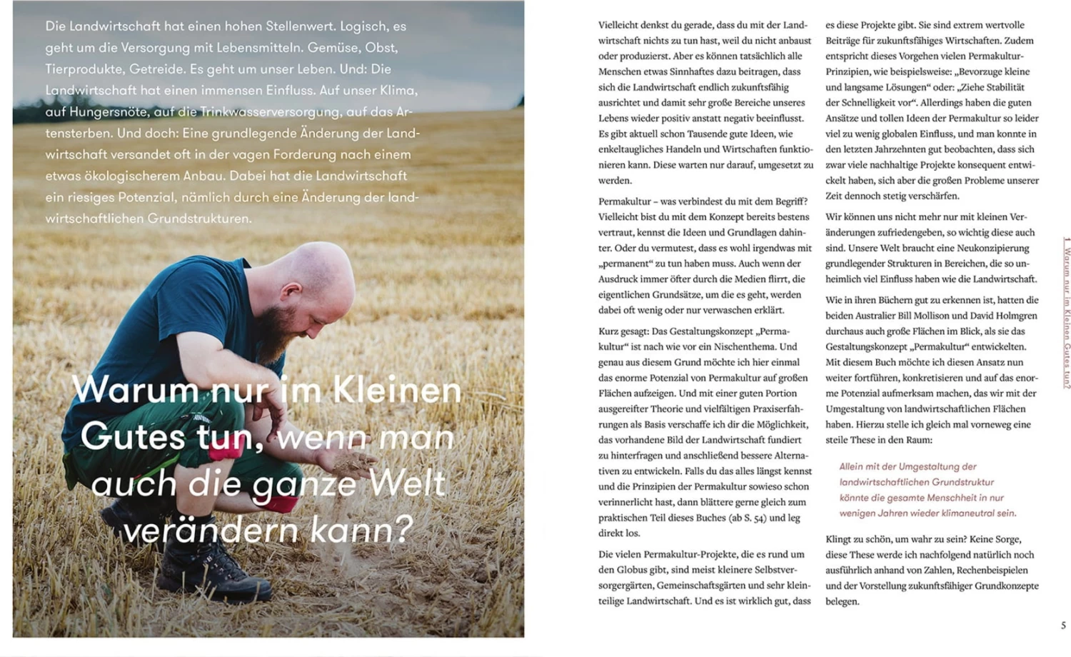 Pilzgeflüster – Bild 7