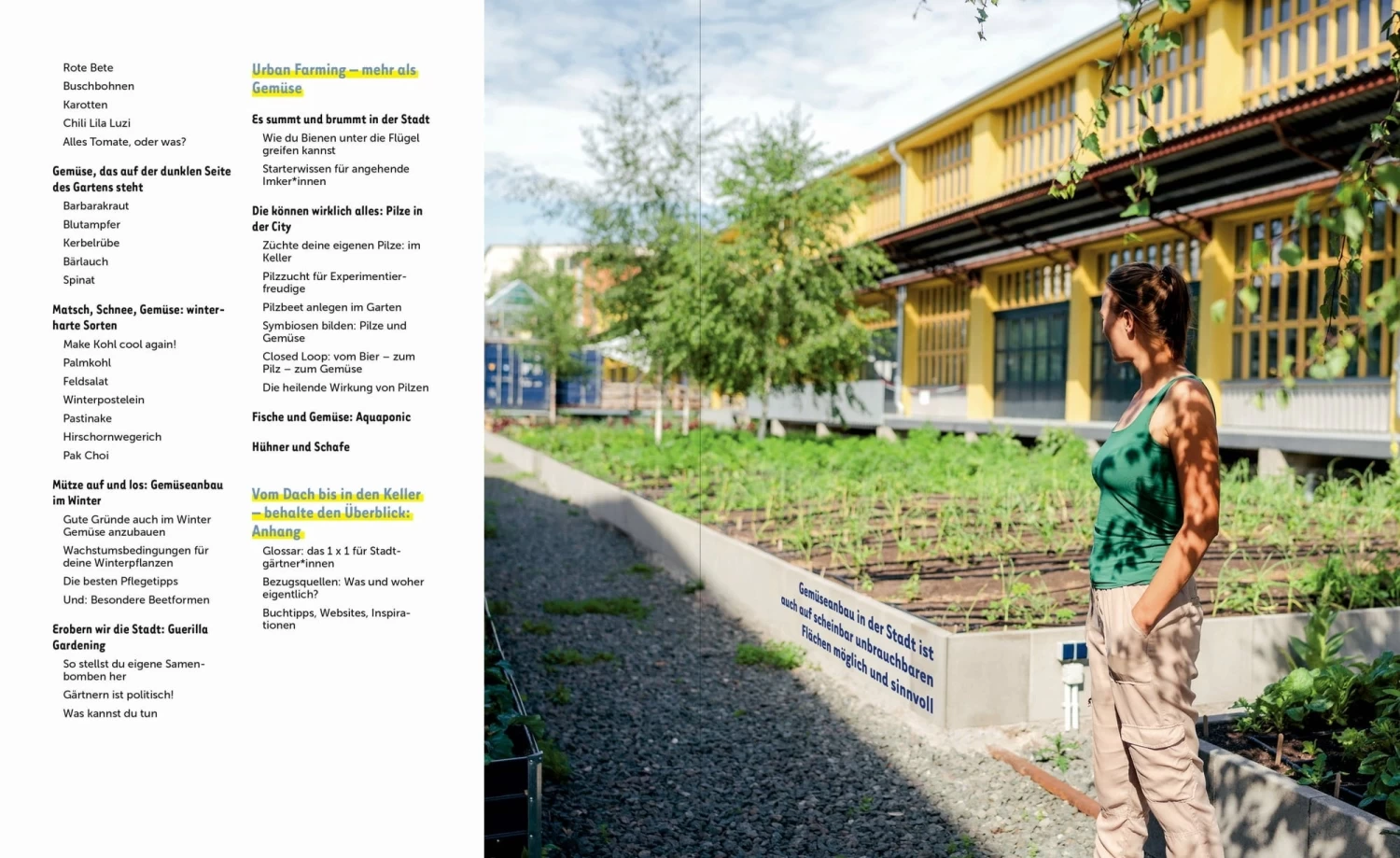 Stadtgemüse – Bild 7