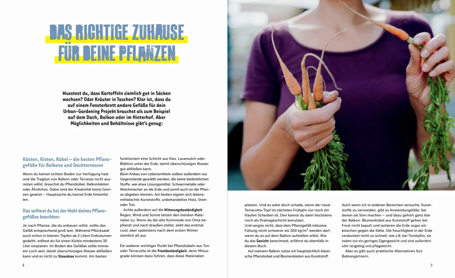 Stadtgemüse – Bild 4