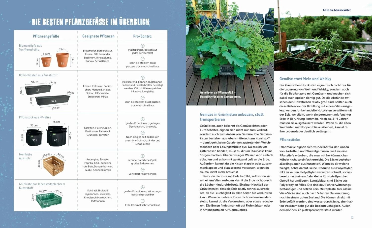 Stadtgemüse – Bild 2