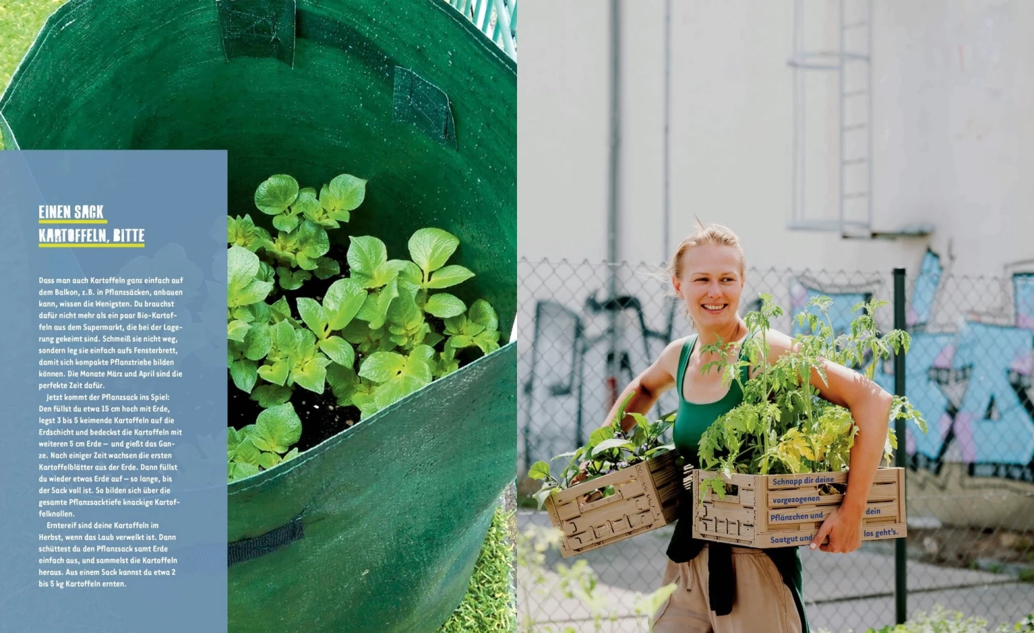 Stadtgemüse – Bild 5