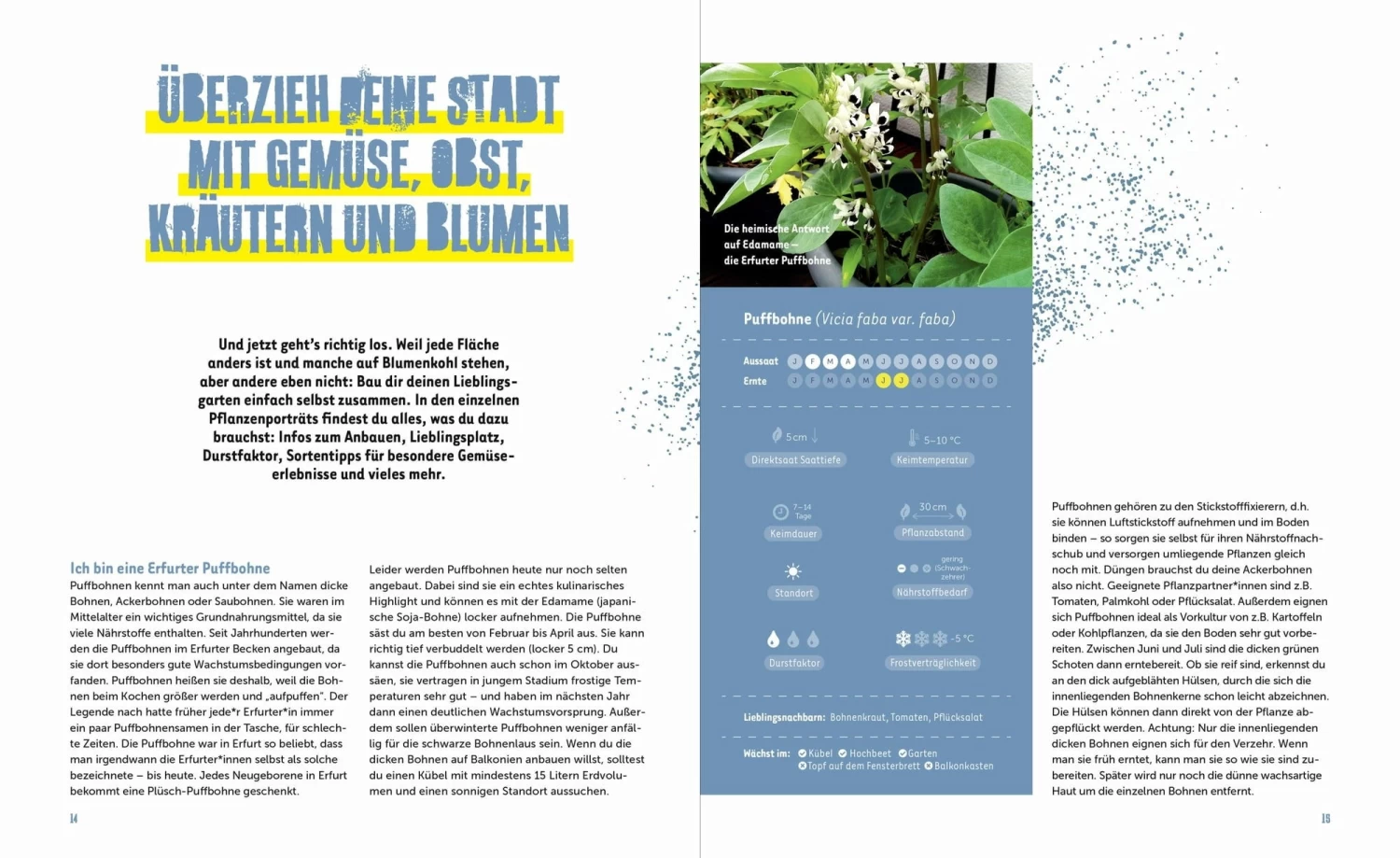 Stadtgemüse – Bild 8