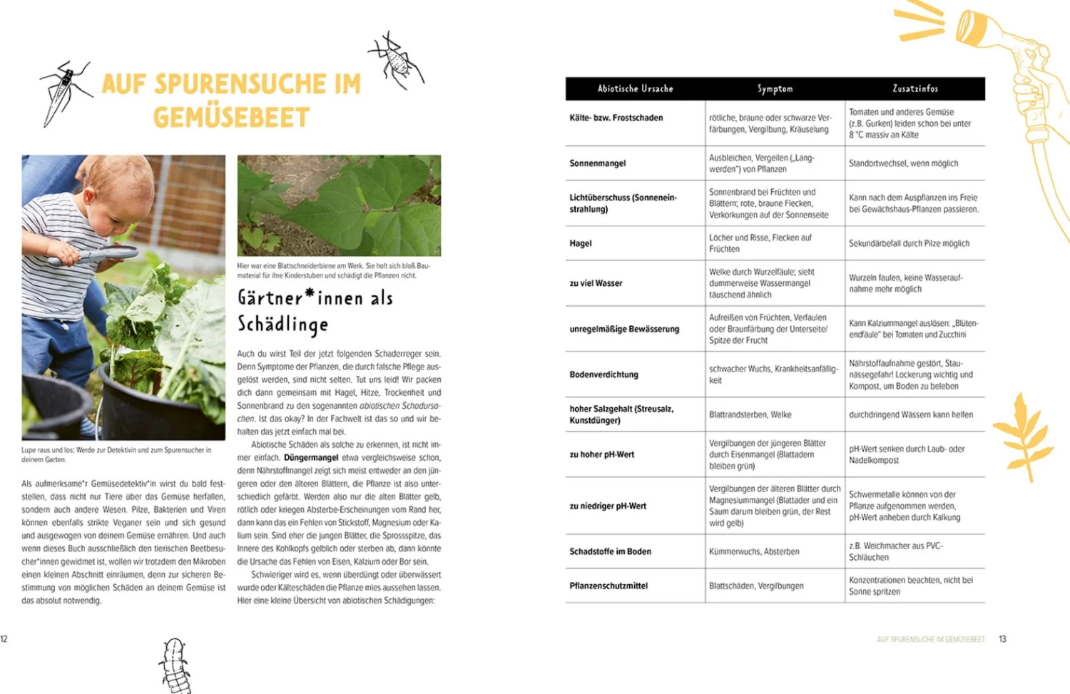 Wer Knabbert Da An Meinem Gemüse? – Bild 6