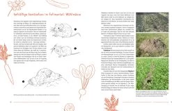 Wer Knabbert Da An Meinem Gemüse?