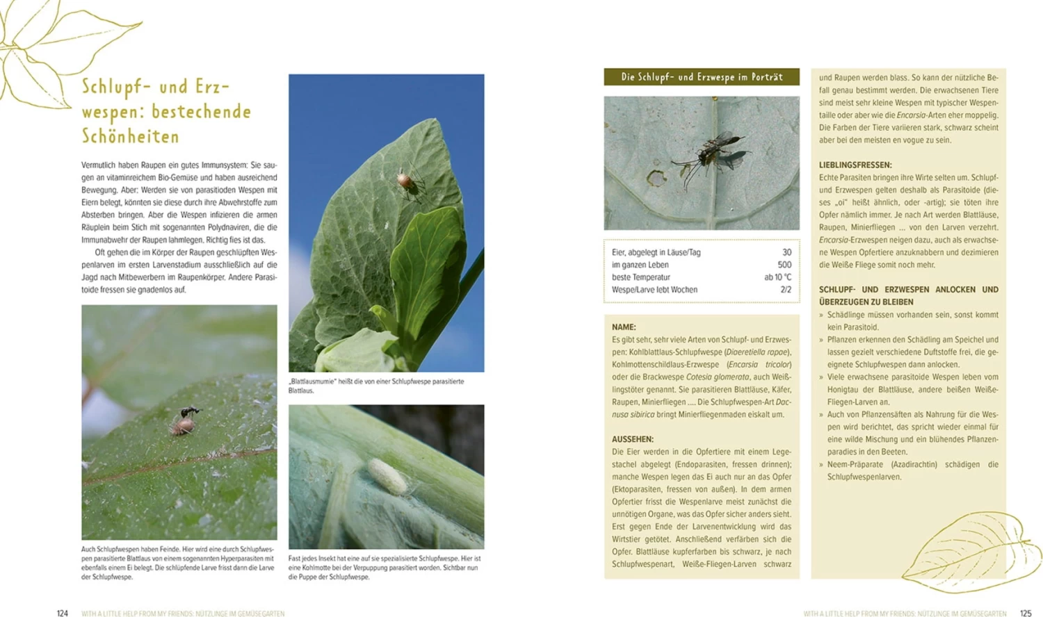 Wer Knabbert Da An Meinem Gemüse? – Bild 5