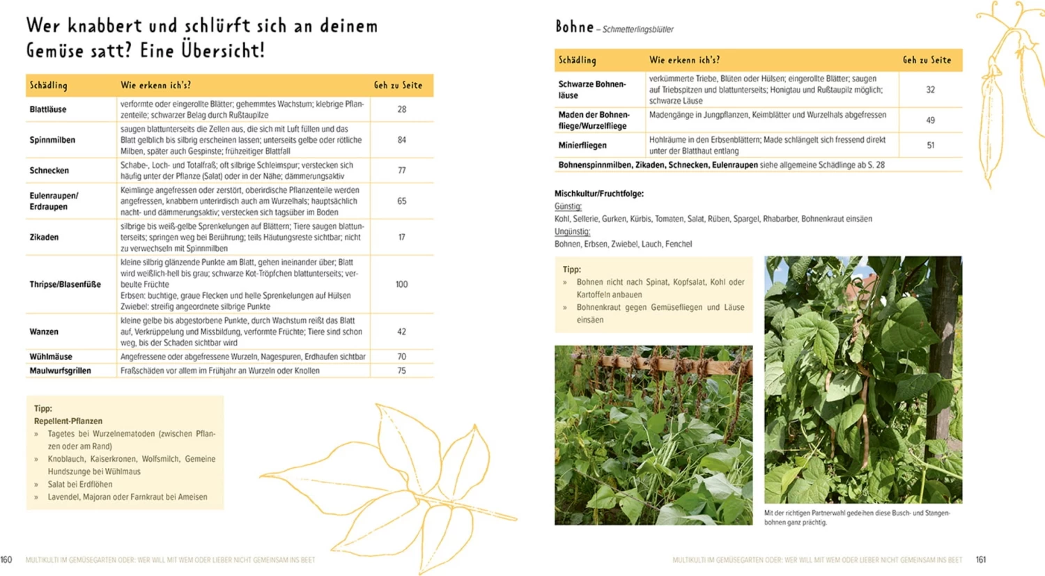 Wer Knabbert Da An Meinem Gemüse? – Bild 11