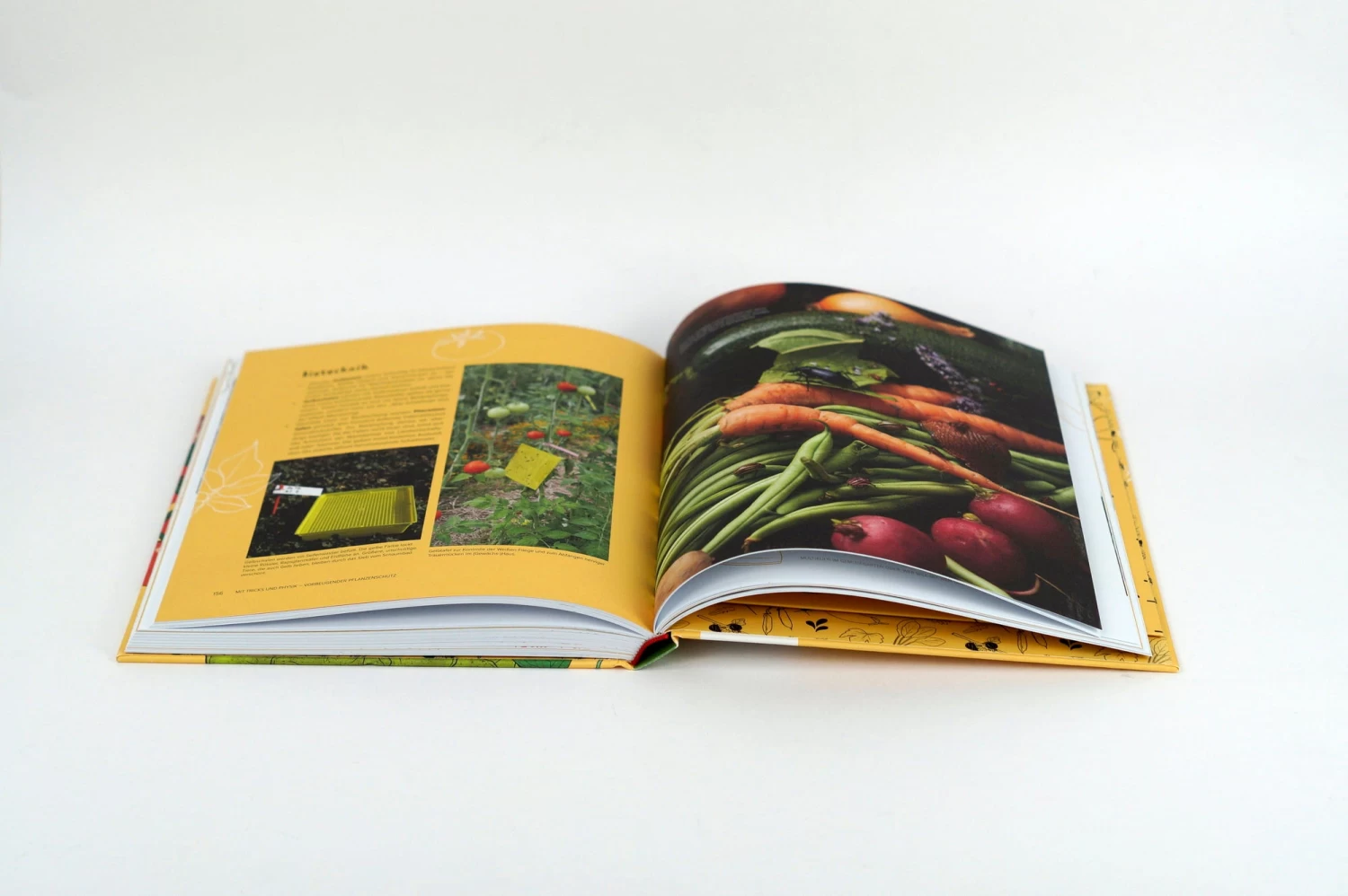 Wer Knabbert Da An Meinem Gemüse? – Bild 10