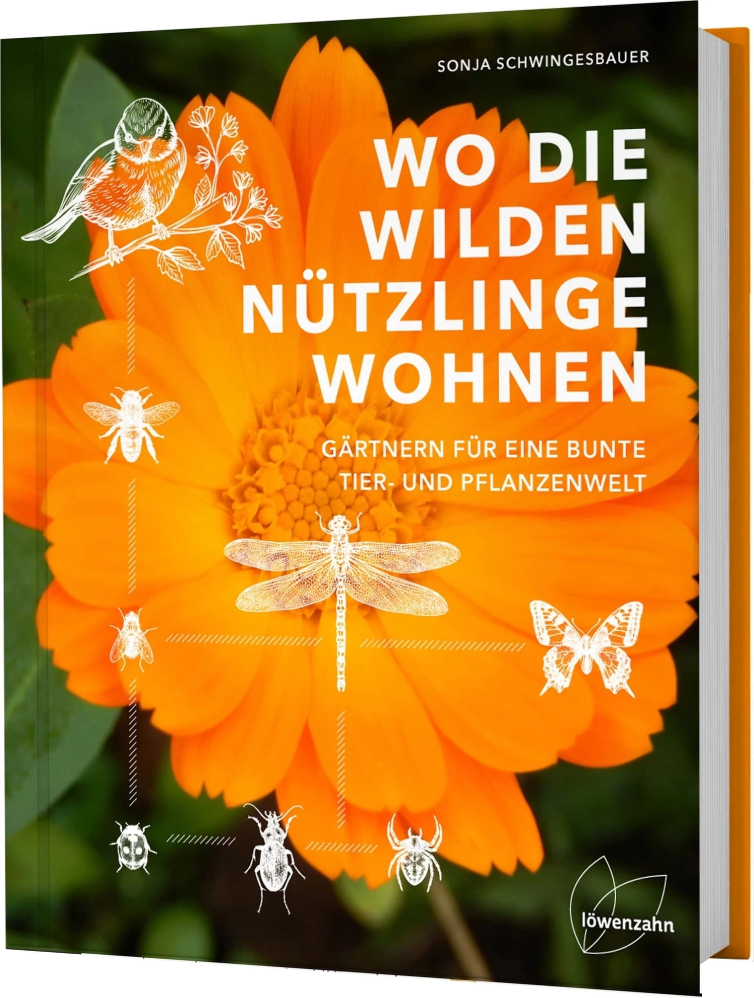 Wo Die Wilden Nützlinge Wohnen – Bild 5