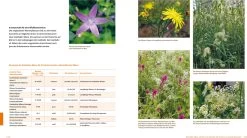 Wo Die Wilden NĂĽtzlinge Wohnen