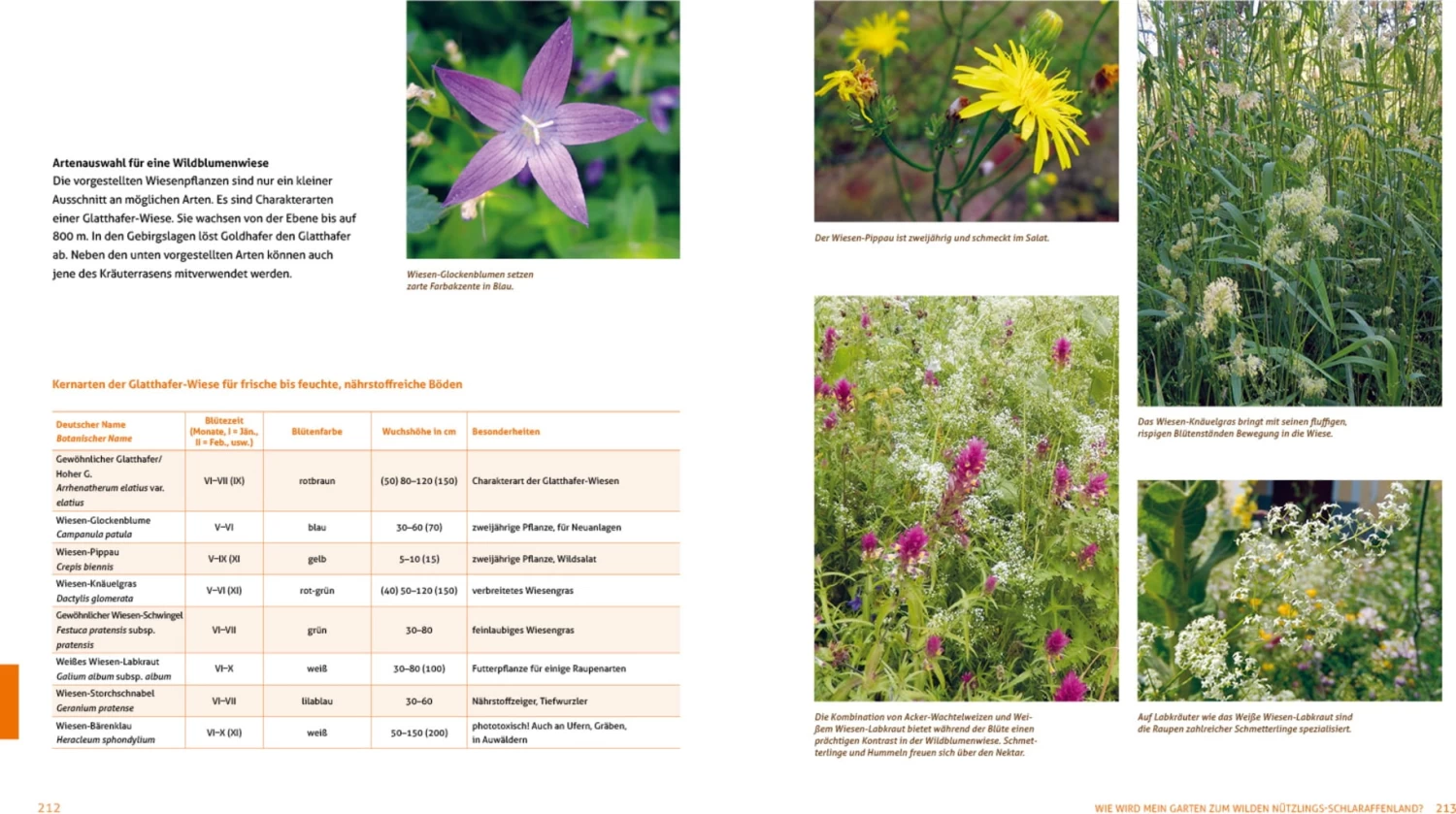 Wo Die Wilden Nützlinge Wohnen