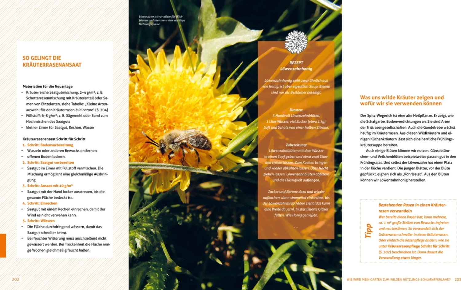 Wo Die Wilden Nützlinge Wohnen – Bild 3