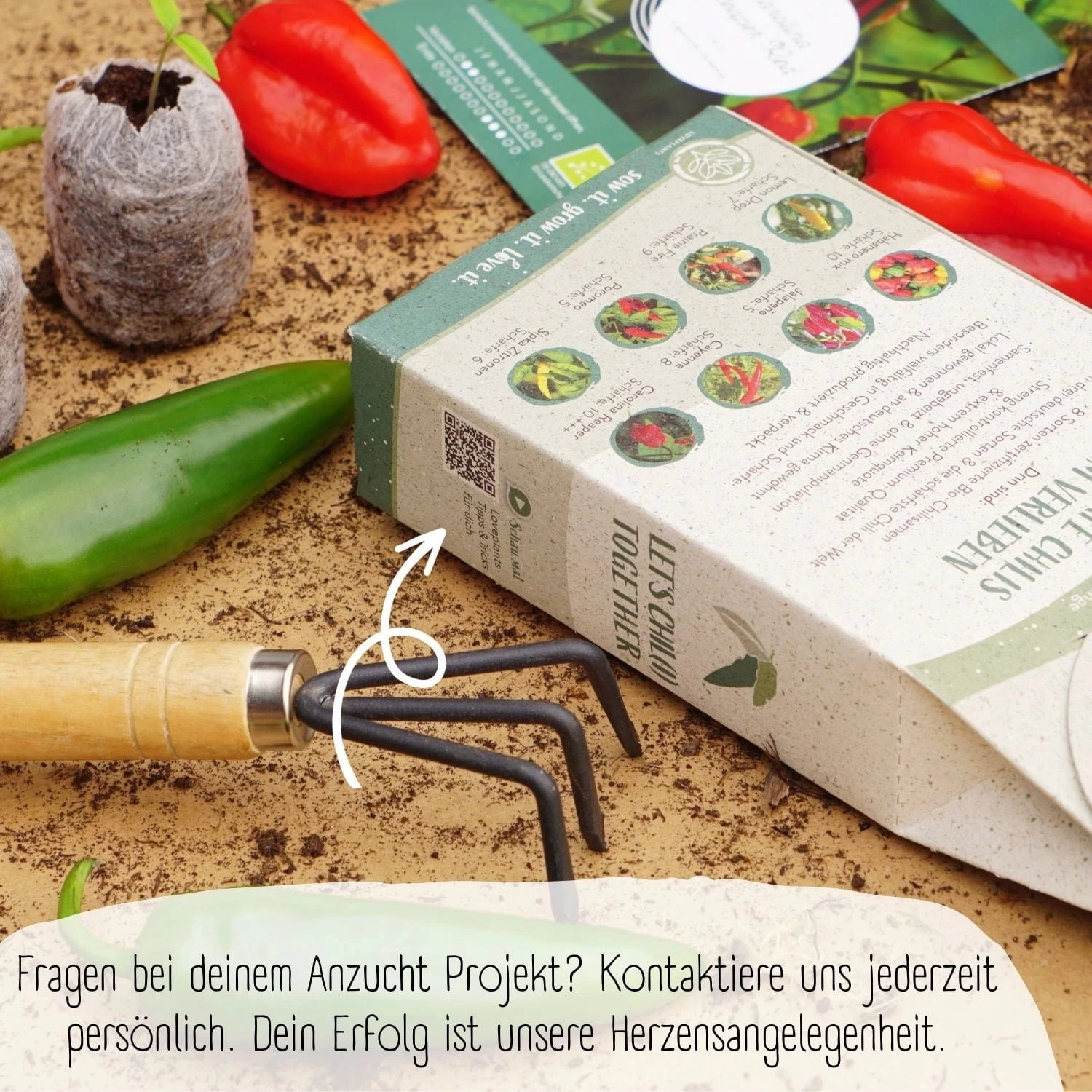 Bio Chili Samen Set – Bild 2