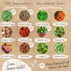 Bio Hochbeet & Balkon Gemüse Samen Set