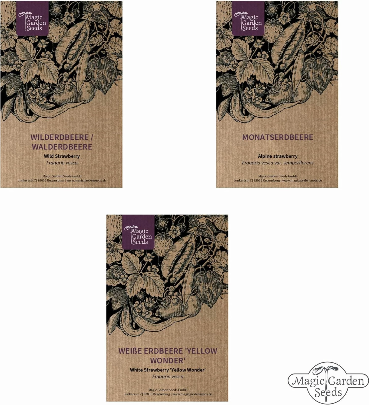 Alte Erdbeersorten - Samenset – Bild 5