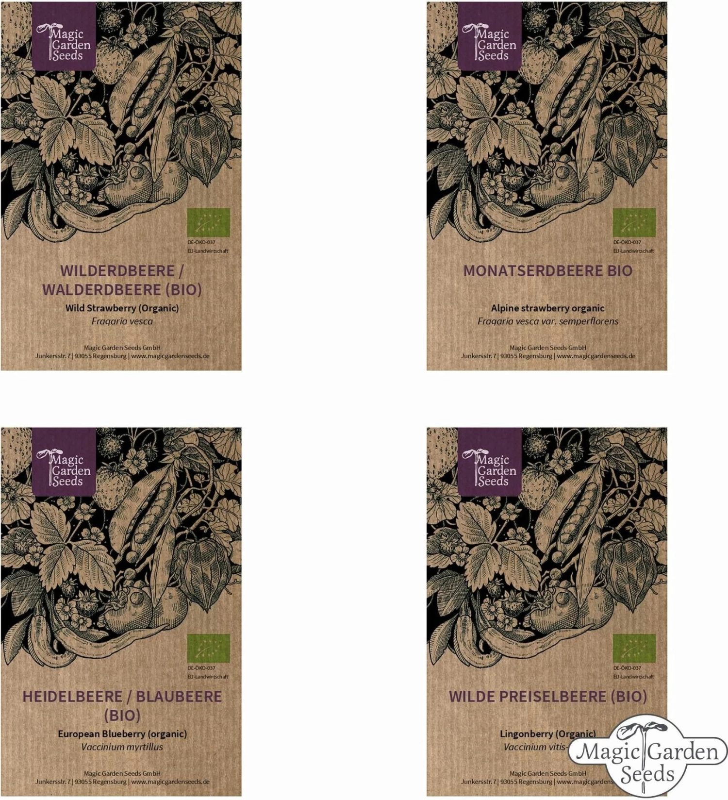 Bio Beeren-Naschgarten , Samenset – Bild 5