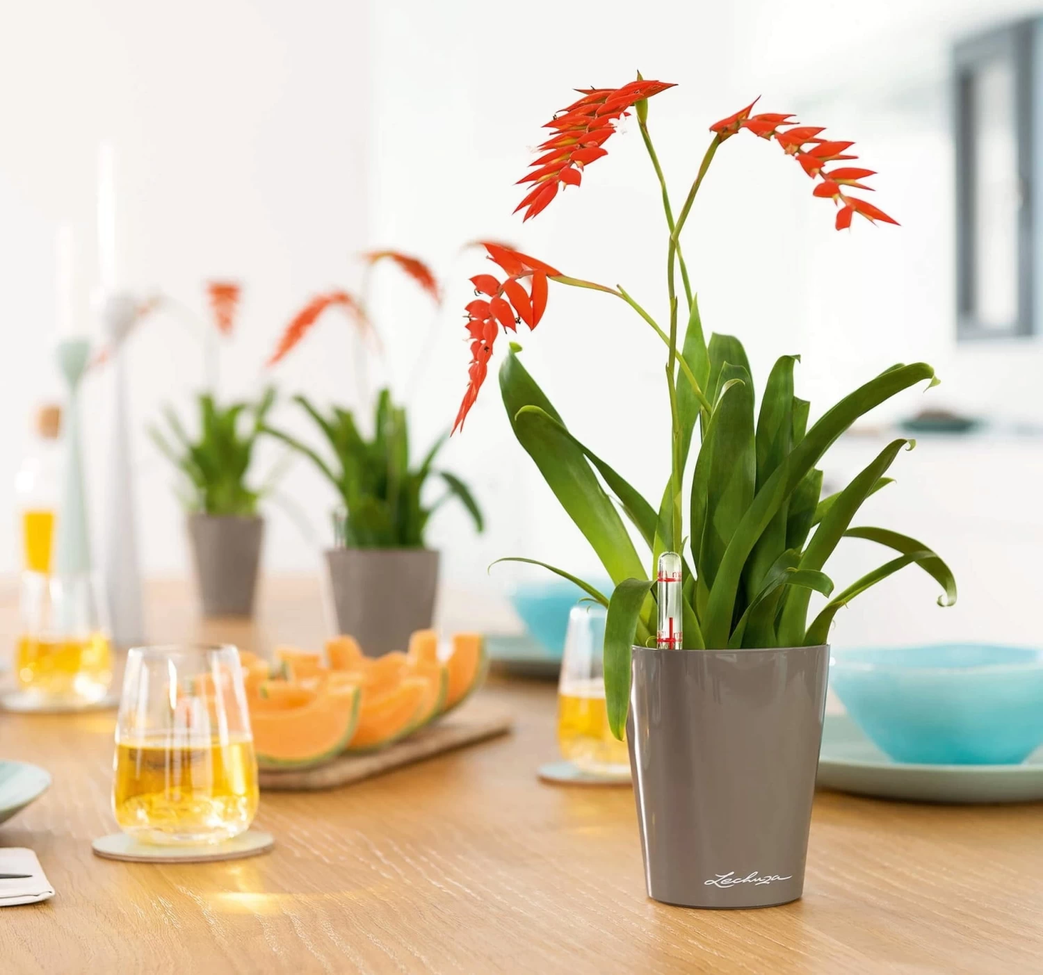 LECHUZA Tischgefäß MINI DELTINI, Weiß – Bild 4