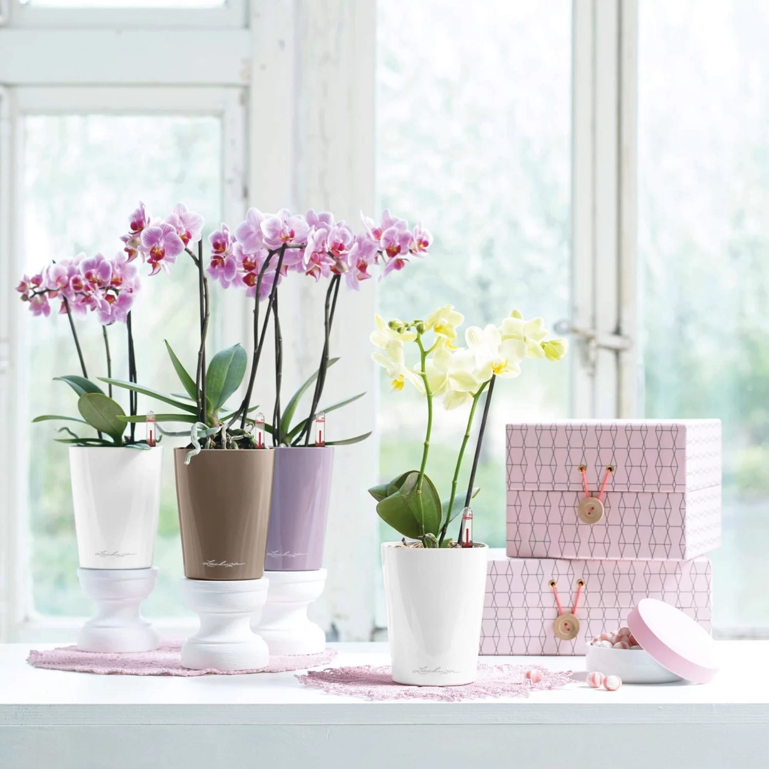 LECHUZA Tischgefäß MINI DELTINI, Weiß – Bild 6