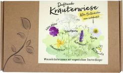 Heilkräuter-Samen-Set "Duftende Kräuterwiese"