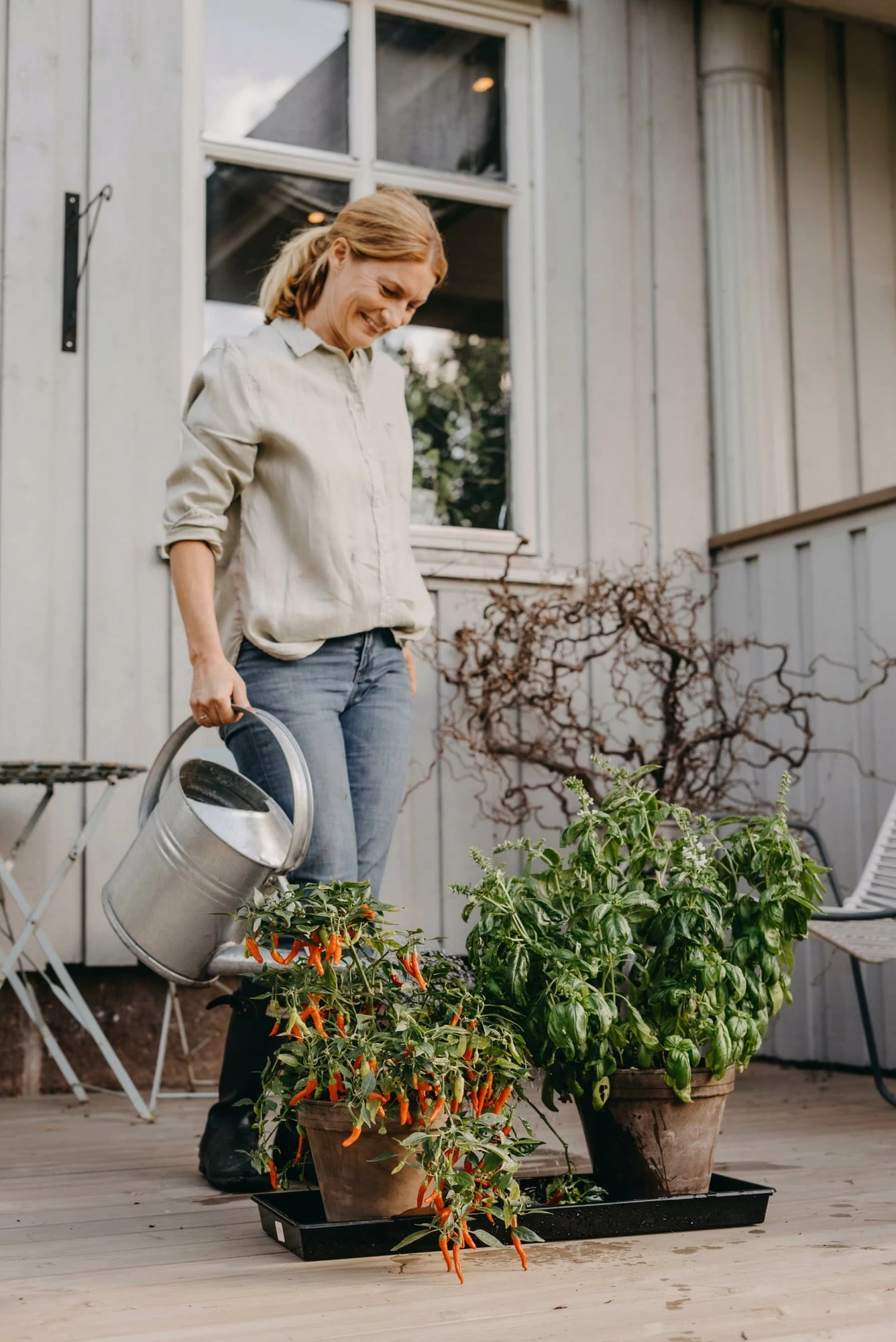 Anzuchtschale Solid 26 X 68 Cm – Bild 2