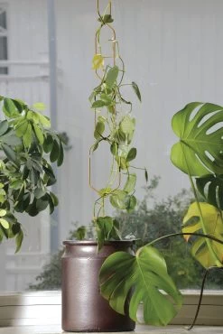 Hängende Rankhilfe Für Kletterpflanzen