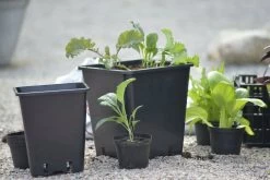 Kunststoff-Topf, 20 Cm