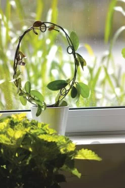 Rankhilfe Für Topfpflanzen "Circle"