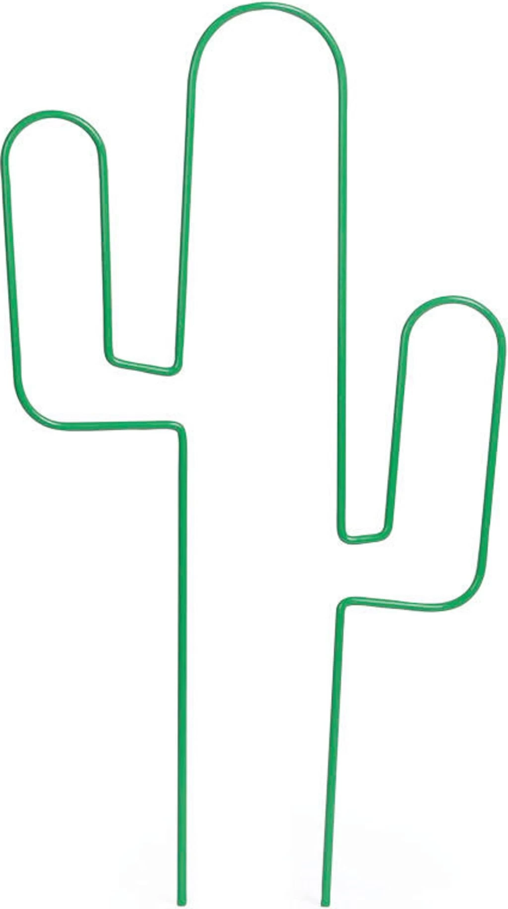 Topfspalier "Kaktus"