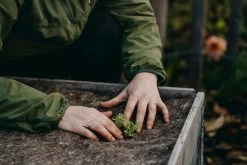 Vlies Aus Wolle, 120x80 Cm