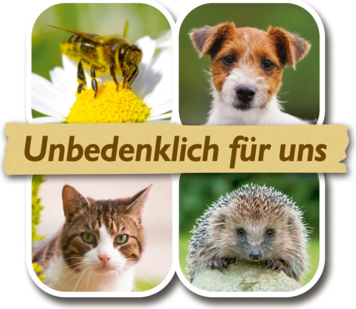 Grünpflanzen- & PalmenErde, 3 L – Bild 2