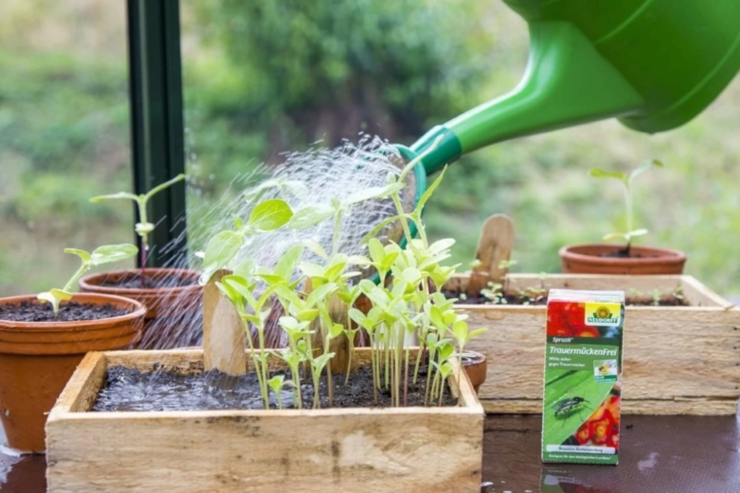 Spruzit Trauermückenfrei, 30 Ml - Reg. Nr. 2699-915 – Bild 3