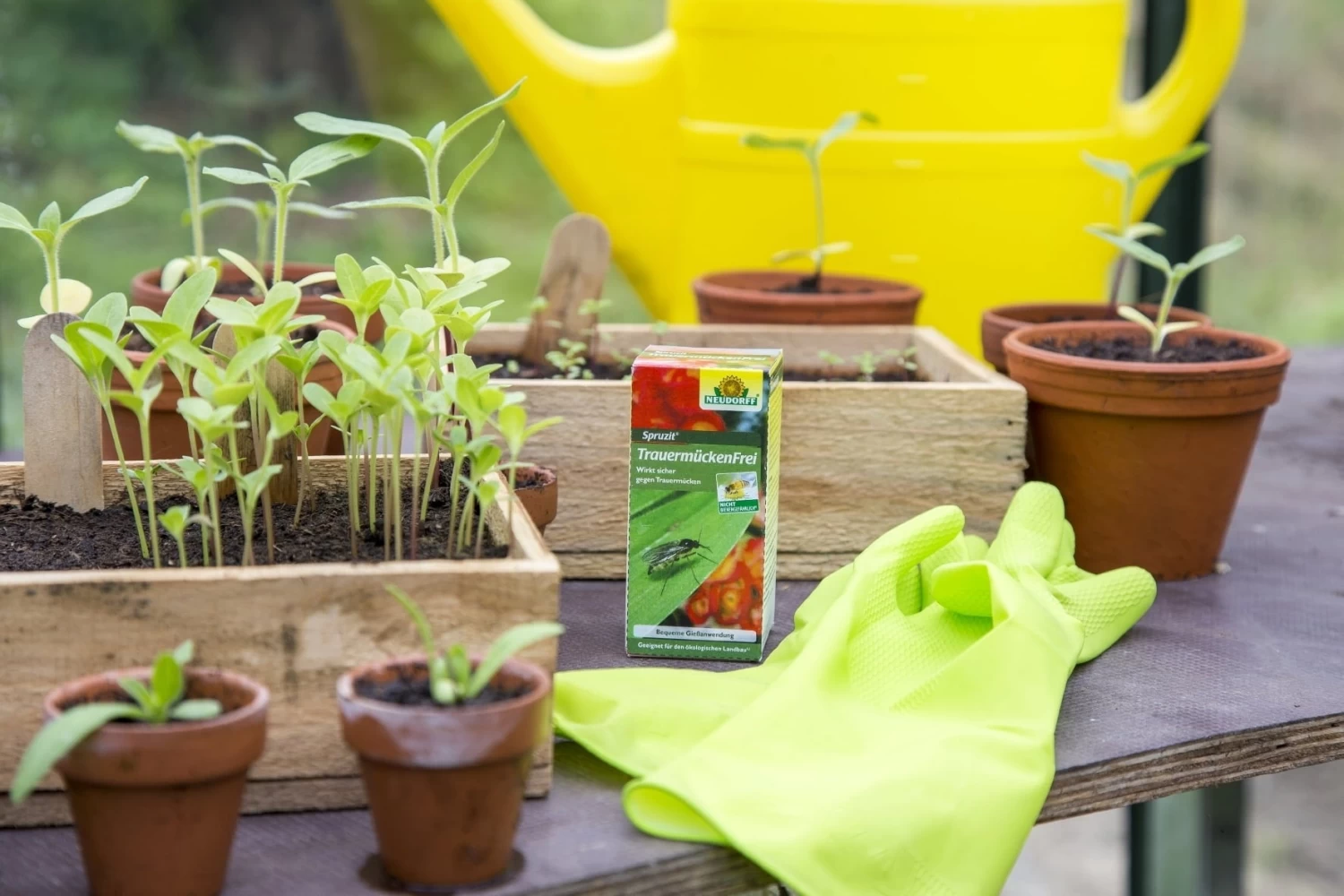 Spruzit Trauermückenfrei, 30 Ml - Reg. Nr. 2699-915 – Bild 4