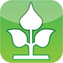 Hochbeet Weide Inkl. Pflanztasche