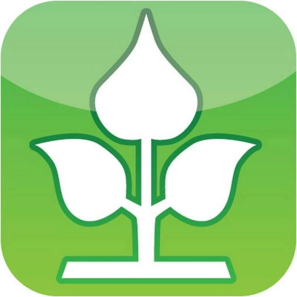 Hochbeet Weide Inkl. Pflanztasche