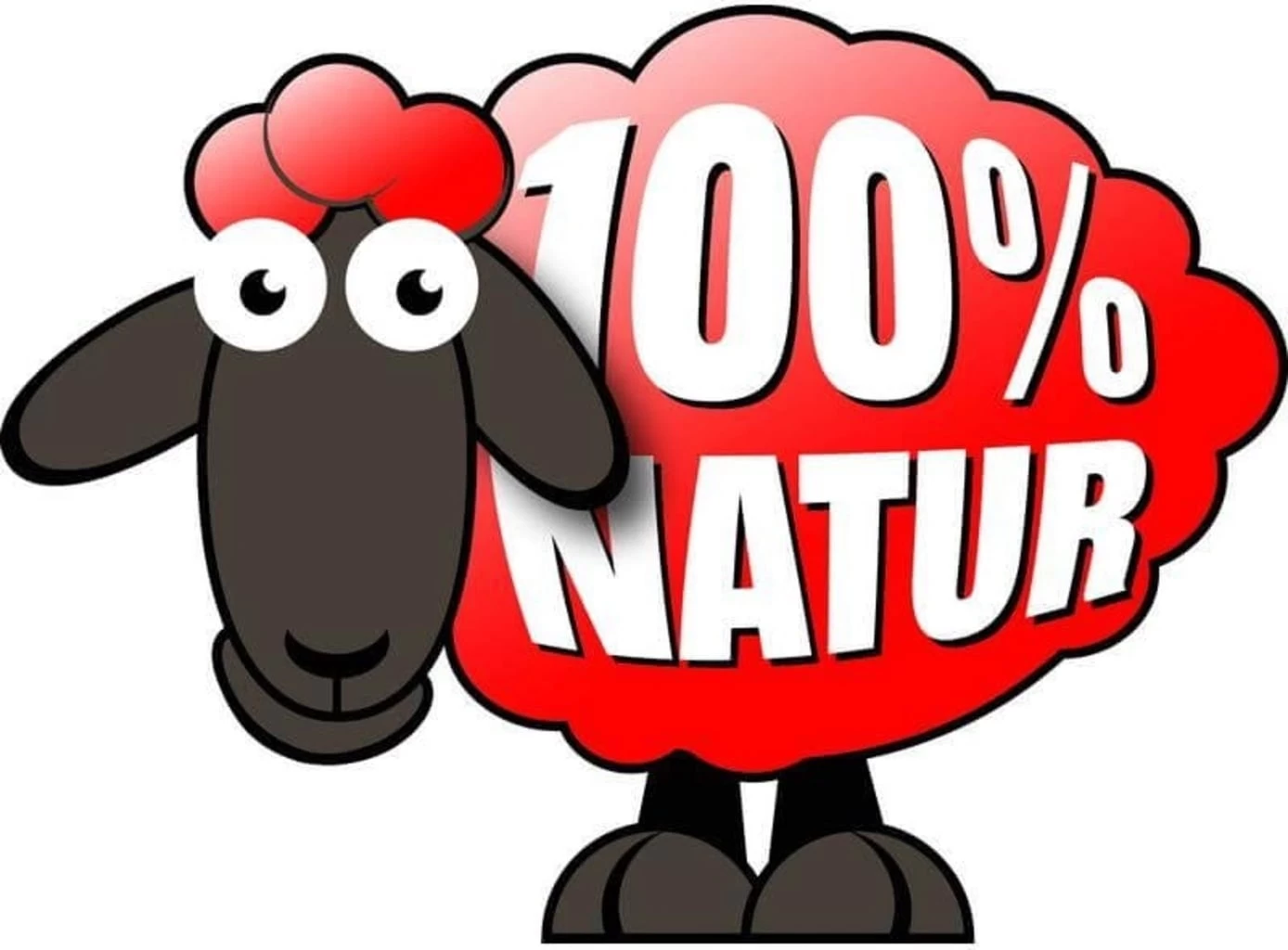 Winterschutzmatte Schafwolle 50x150 Cm, Naturweiß – Bild 4