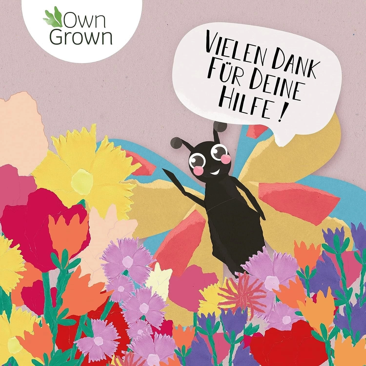 Blumenmischung "Schmetterlingstreff" – Bild 3