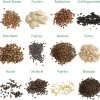 Garten-Gemüse 12er Saatgut-Set