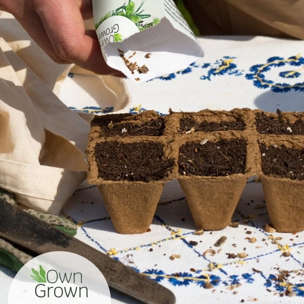 Küchen-Kräuter 12er Saatgut-Set – Bild 2