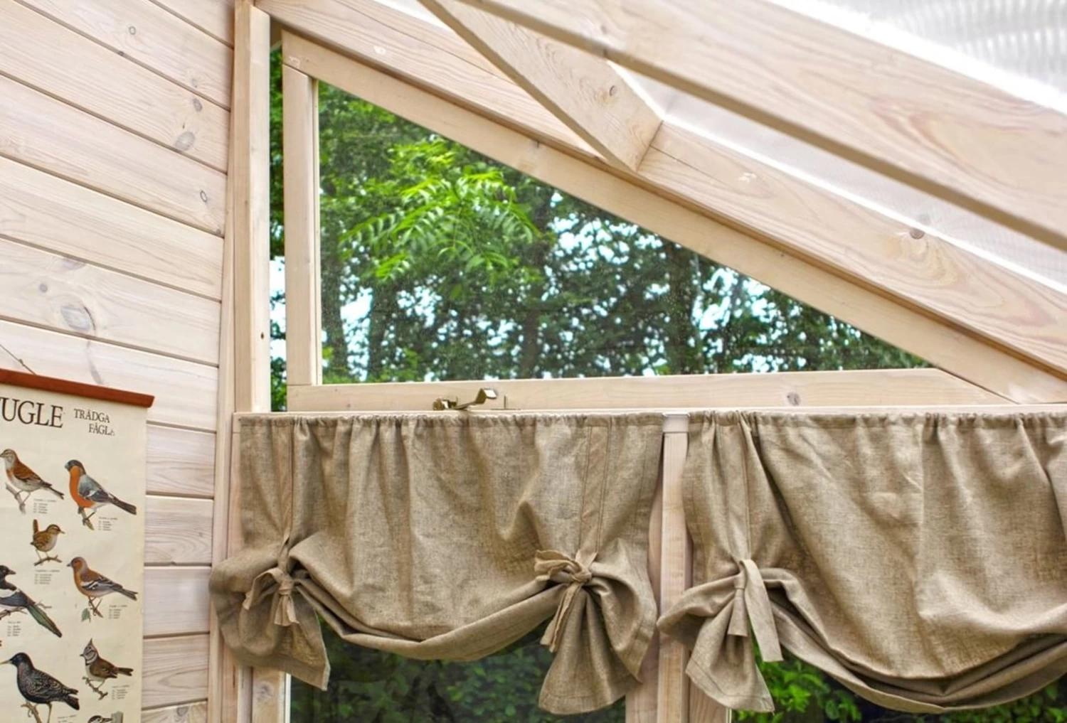 Plus Gewächshaus 6,6 M2 – Bild 11