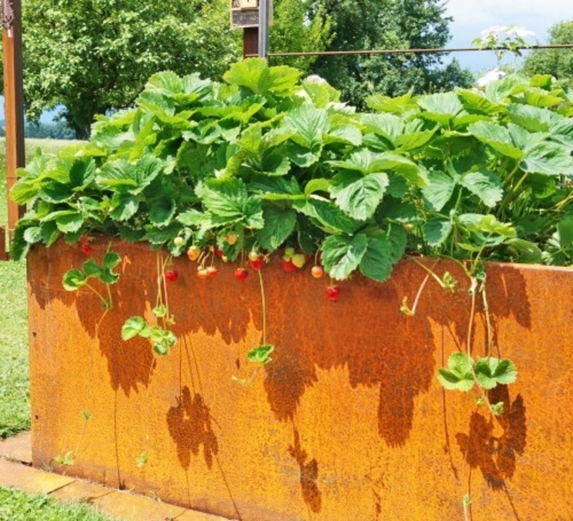 Hochbeet Edelrost "Optimus", 200 X 100 Cm