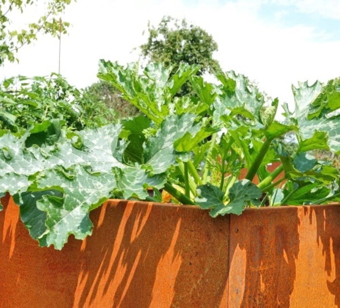 Hochbeet Edelrost "Optimus", 200 X 100 Cm – Bild 3